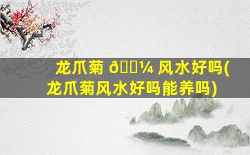 龙爪菊 🌼 风水好吗(龙爪菊风水好吗能养吗)